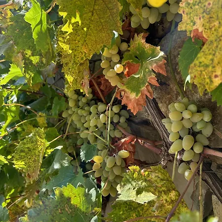 Bed & Breakfast Casa Nas Colinas 3*