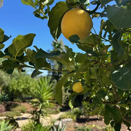 Bed & Breakfast Casa Nas Colinas Sao Bras de Alportel